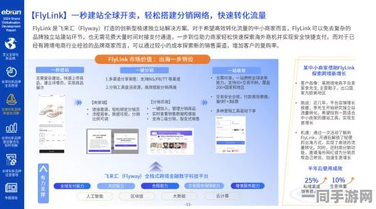 飞机大战虚拟物品纠纷技术升级：通过数字资产跨链追踪与逆向工程实操应对涉诉金额达17万的挑战及2025Q2合规性白皮书展望（2025