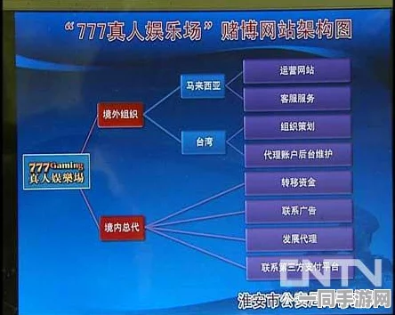 5060中老年网址导航全面解析，探索数字时代中老年网民背后的生存策略与支持力量