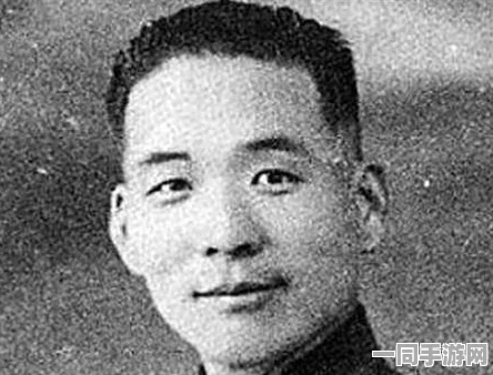 超越信息海洋的投资指南：50多个免费市场数据平台，助你在复杂数据中寻找方向，普通投资者的信息竞争策略
