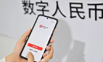网信办公告：关于猜歌达人充值异常处理方案的详细说明及其涉诉用户达61万（2025全球数字经济大会）