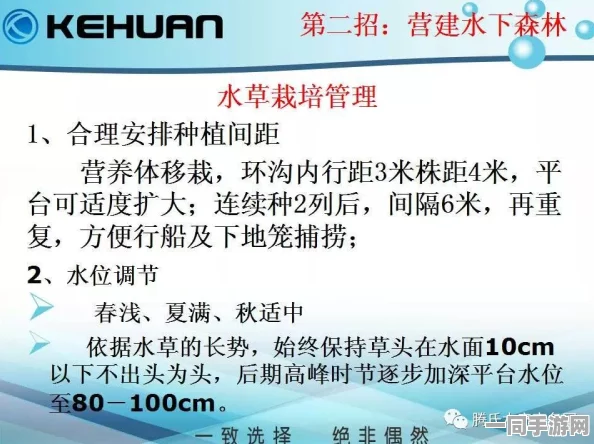 51jop官网，解码智能招聘新生态—求职者如何避开90%的虚假岗位陷阱