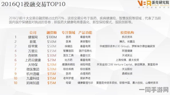 513gp.co.cc，揭秘域名投资新蓝海 数字资产配置的隐形冠军