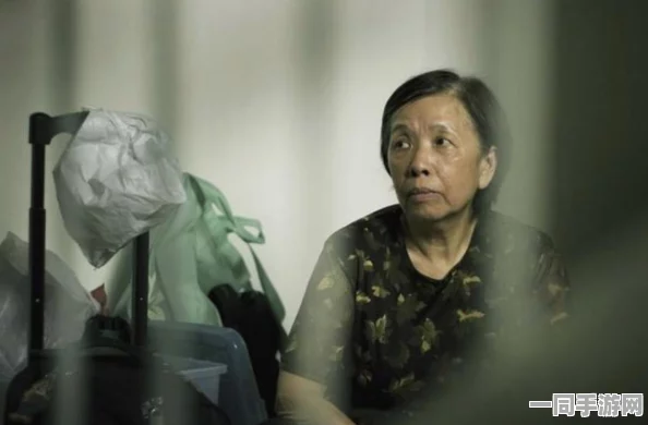 热爱生活的张炳小母狗：在城市街头守护温暖与网络狂欢之间的微妙平衡与思考