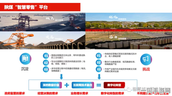 51看料网官网，揭秘中小企业信息突围新路径—杭州案例启示录
