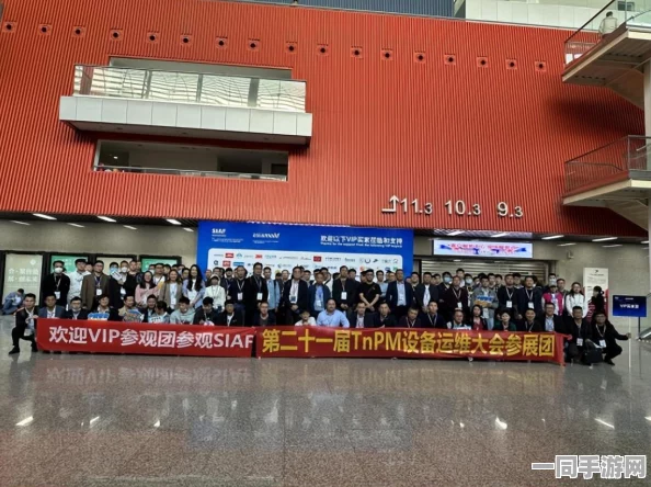 51cn.cmc域名查询2023年最新，深度解析与避坑指南—透视域名查询行业的隐形规则