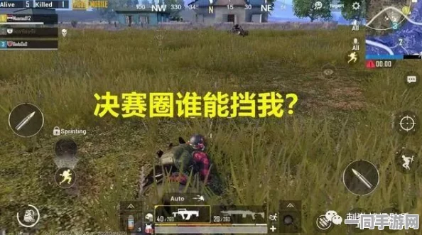 51本色安装为什么要锁屏密码，移动应用安全防护的隐秘战场与用户认知盲区揭秘