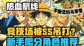 海贼无双5多少钱，数字黄金时代的价格迷局与玩家生存指南
