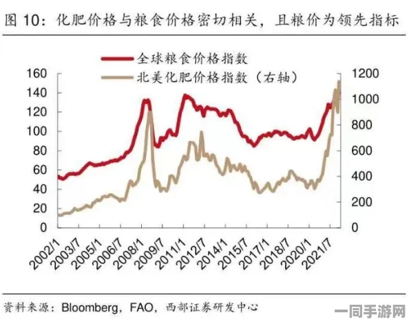 “全球粮价动荡之际，中国如何守护大豆市场：最新行情分析与应对策略”
