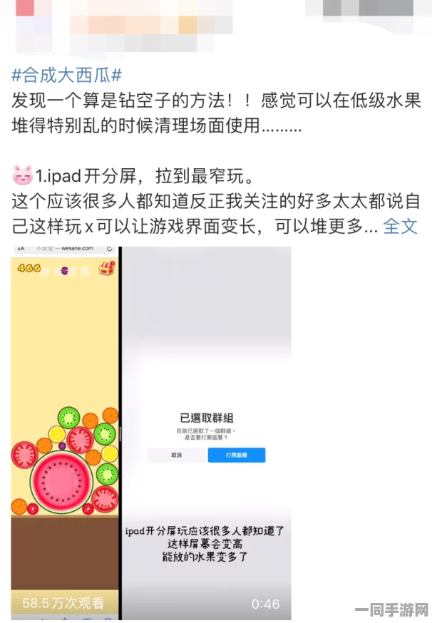 合成大西瓜实名认证漏洞技术升级:采用生物特征识别升级+逆向工程实录应对涉诉用户92万+年度维权报告（2025Q2中国手