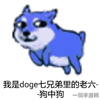 521搞笑图片分享，探索在数字时代情绪释放的必然需求—幽默如何成为我们的减压新武器