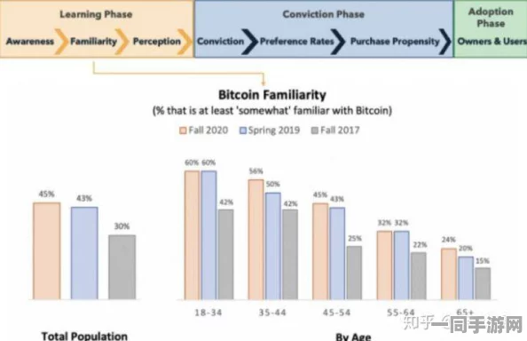 520886c美国版，解码跨境数字游民的财富密码与合规陷阱