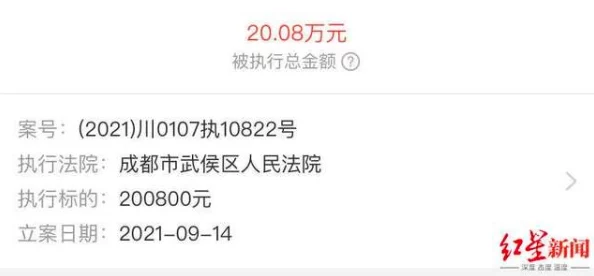 【未成年人充值纠纷】飞机大战元宇宙存证纠纷案(2025）京01民终1661号)技术方案未公开判赔23万元