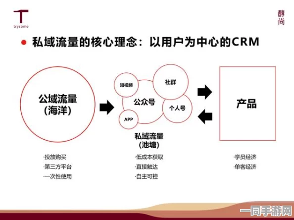 520SeSese：深度解析情感经济时代SEO流量的秘密与道德界限