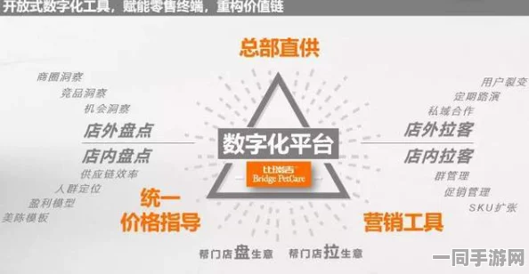 数字健康管理新模式下的隐私权博弈：解读5252b带来的挑战与机遇