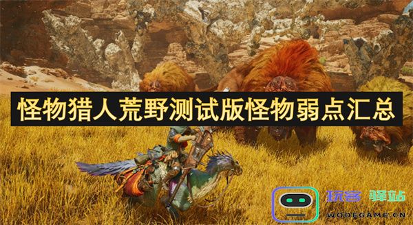 怪物猎人荒野测试版中各类怪物弱点全面分析与汇总