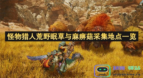 怪物猎人荒野中眠草与麻痹菇的详细采集位置全解析与攻略