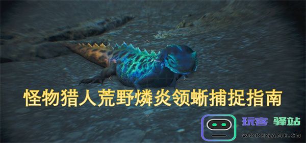 怪物猎人荒野燐炎领蜥捕捉全攻略与技巧分享
