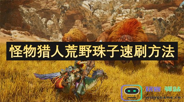 怪物猎人荒野珠子的高效获取技巧与速刷攻略分享
