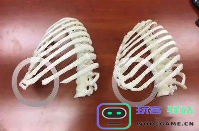 原神林中小书结尾隐藏着鬼图的秘密揭示与解析