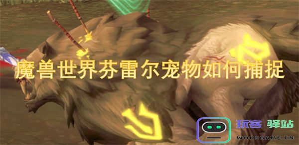 如何在魔兽世界中成功捕捉芬雷尔宠物的详细攻略与技巧分享