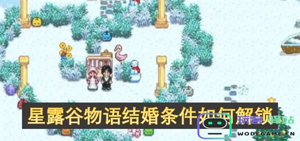在星露谷物语中如何满足结婚条件以成功解锁婚姻功能