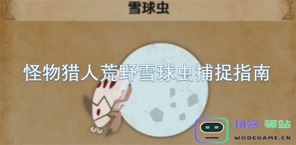 怪物猎人荒野中雪球虫捕捉技巧详解与实用攻略分享