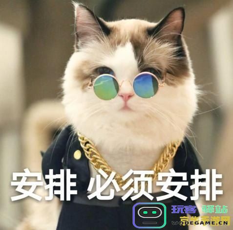 如何正确喂养猫咪以在原神游戏中获得更高的互动体验和能力提升