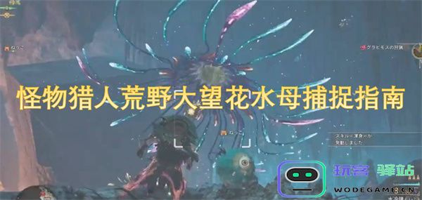 怪物猎人荒野大望中捕捉花水母的详细技巧与策略揭秘