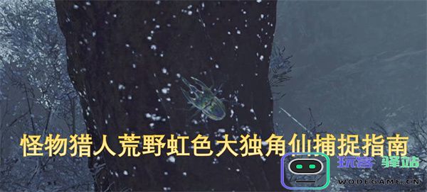 怪物猎人荒野中虹色大独角仙的捕捉攻略与技巧详解