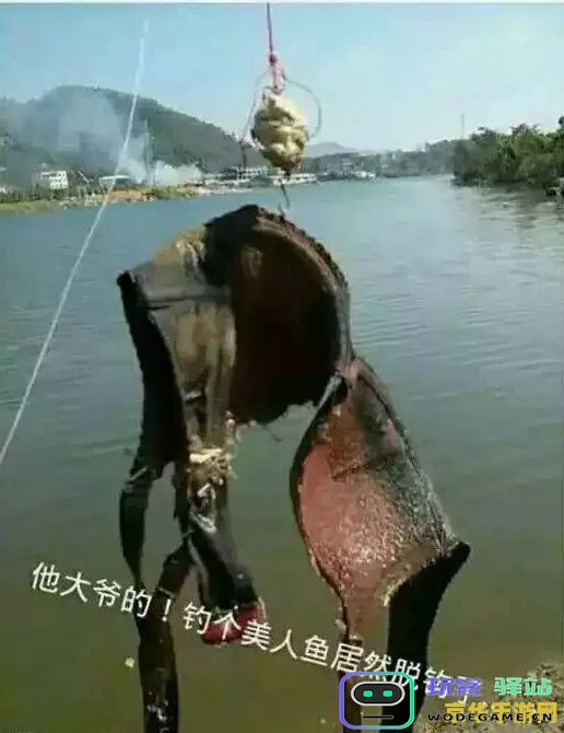 原神钓不到鱼