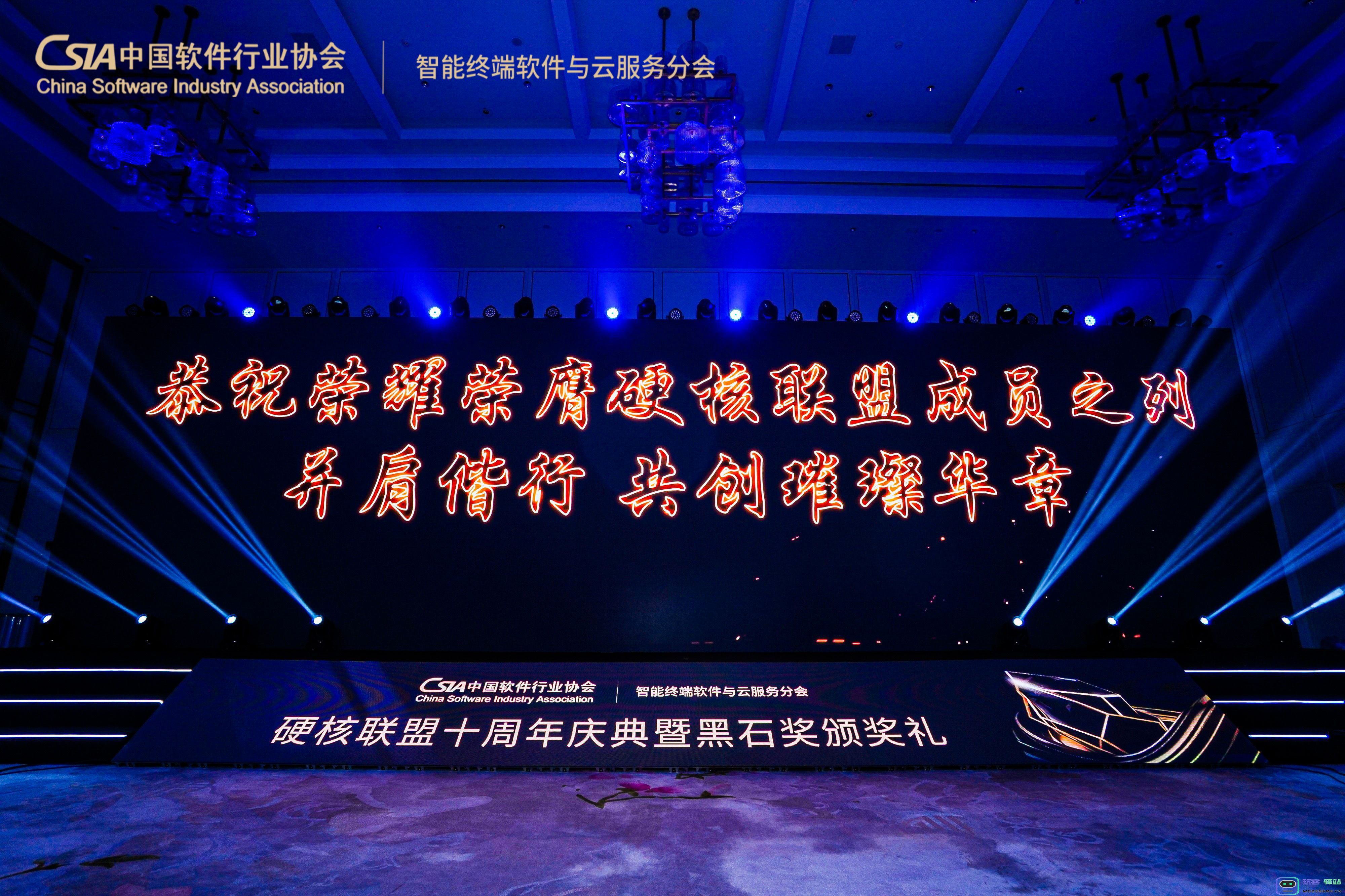 荣光加冕，共筑辉煌，2024黑石奖圆满落幕！：聚焦星光闪耀，见证创意风暴