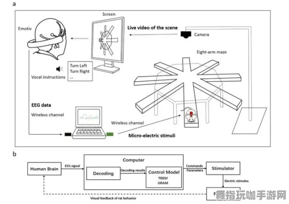Windows全息版-脑机接口游戏的神经信号编码技术全流程—回顾GDC 2025游戏开发者大会结束已过去37天