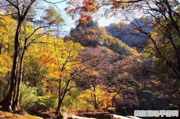 热修复补丁V1-全面解析体感交互在抖音小游戏中的应用与攻略