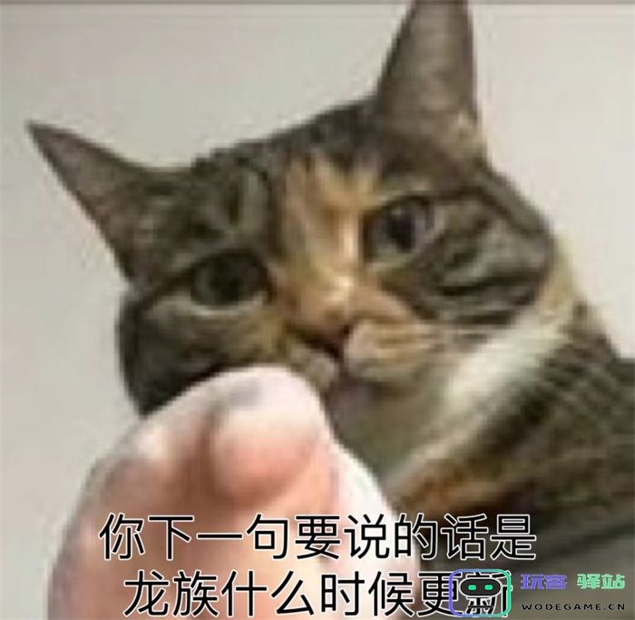你一旦看过龙族，中间忘了，你这一辈子就完了：沉浸在奇幻冒险中的青春记忆