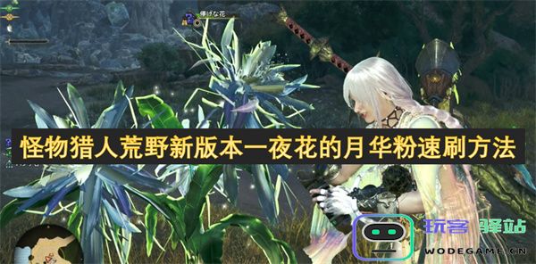 怪物猎人荒野新版本一夜花的月华粉快速获取技巧与方法分享