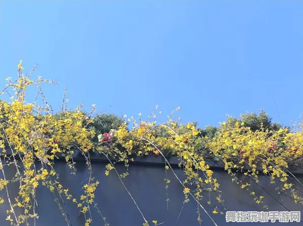 体感交互-抖音小游戏-五一假期必备-倒计时6天