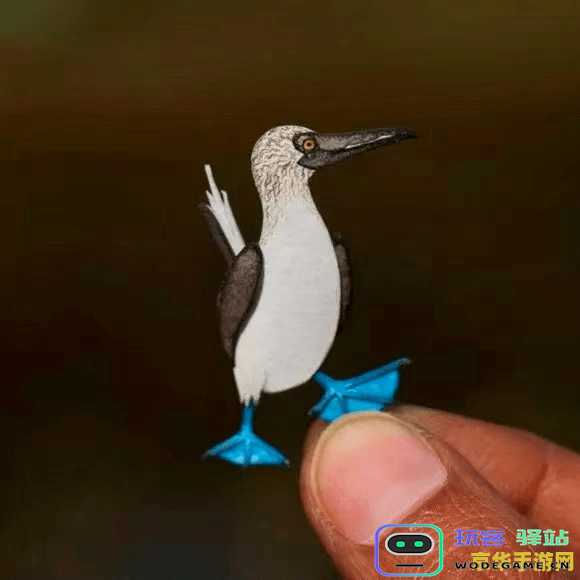 原神蓝色的鸟是什么