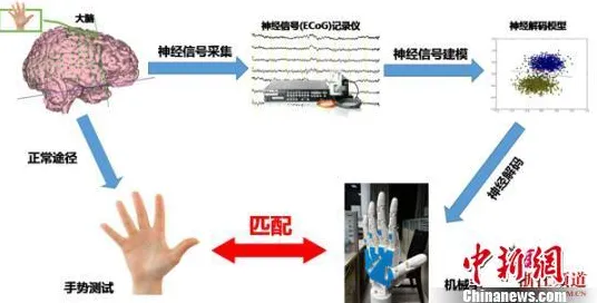 隐秘佳作推荐-2025年4月最新发布-脑机连接专享版-跨系统联机体验分享