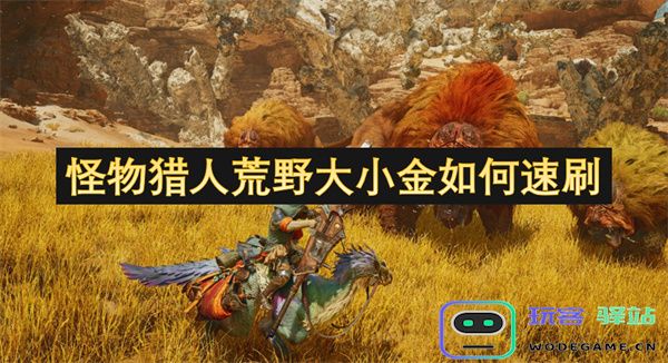 如何在怪物猎人荒野中快速有效地刷取大小金的方法和技巧