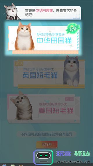 超喵星计划新手玩法