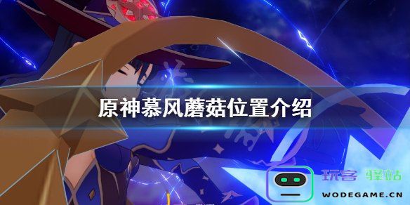 原神慕风蘑菇的购买位置与获取方法详解