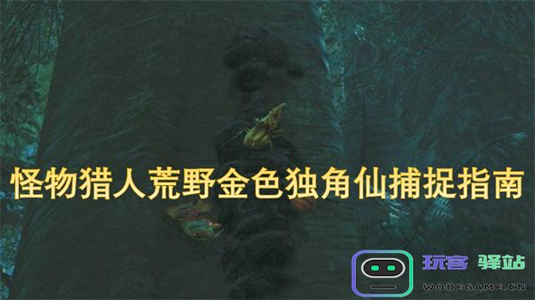 怪物猎人荒野中如何成功捕捉金色独角仙的详细指南与技巧分享