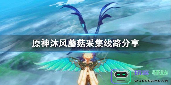 原神哪里有沐风蘑菇