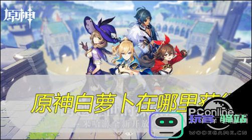 在原神这款游戏中，可以在哪里找到并购买萝卜？