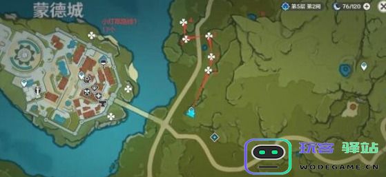 原神小灯草采集路线