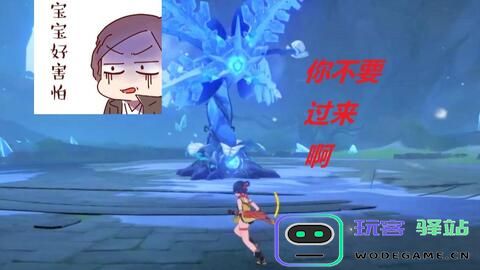 《原神》中快速找到急冻树的具体位置和生长区域指南