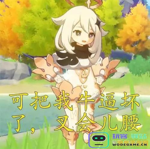 原神可以和别人一起玩吗