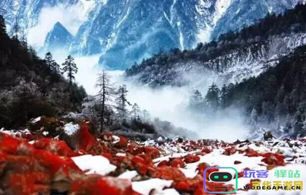 原神雪山好大好大的门在哪里