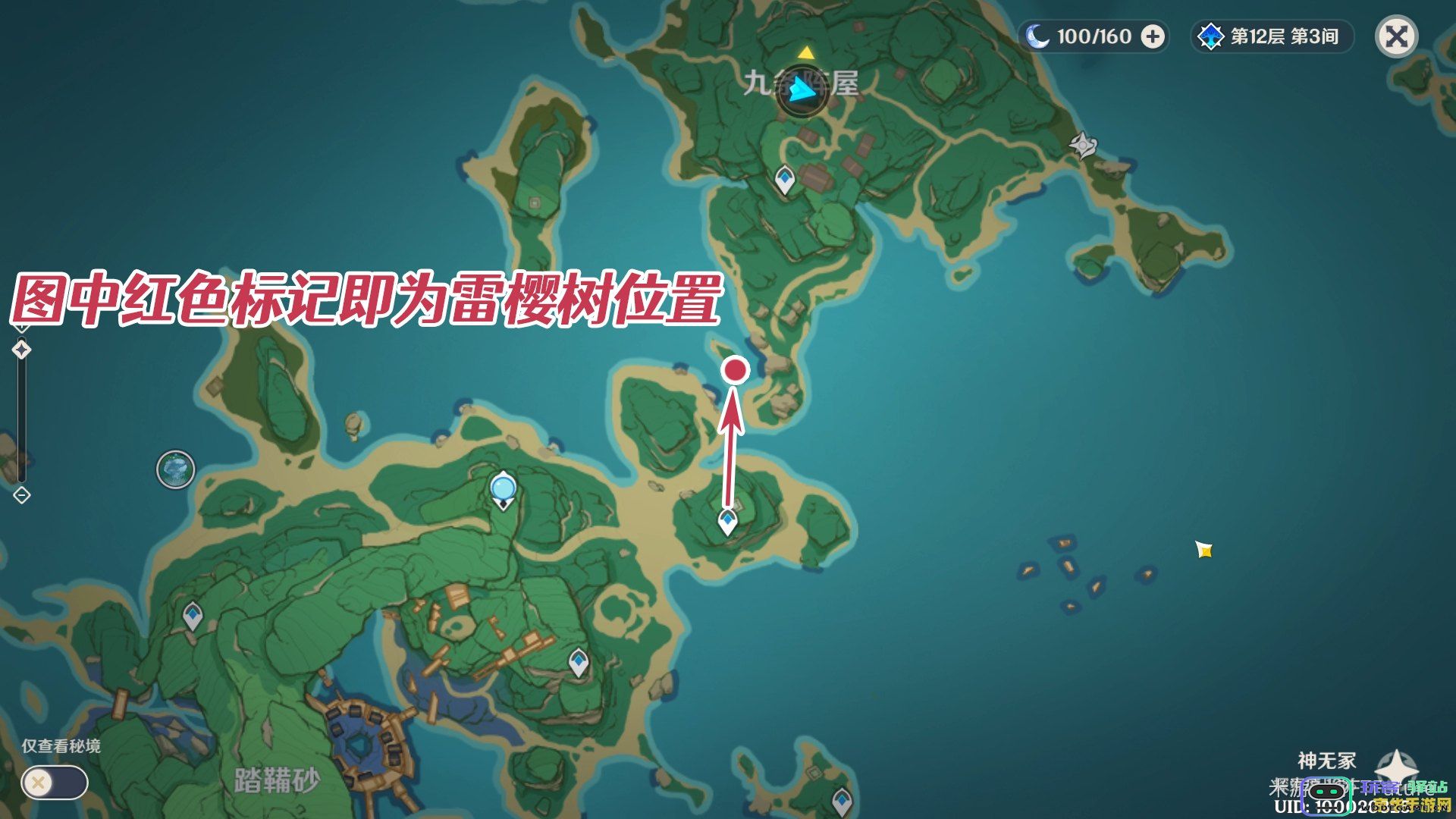 原神雷樱树全位置在哪