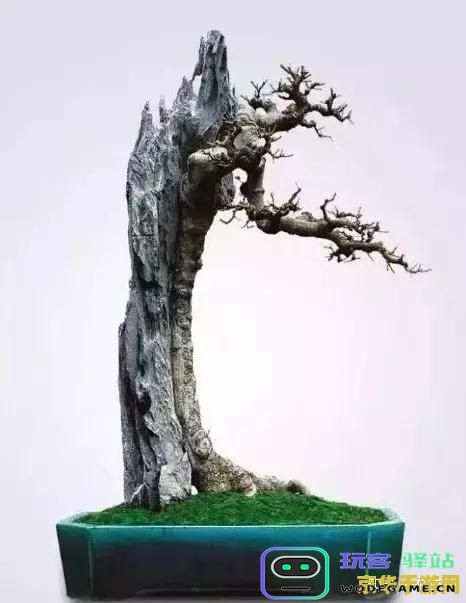 原神盆景破碎的空间